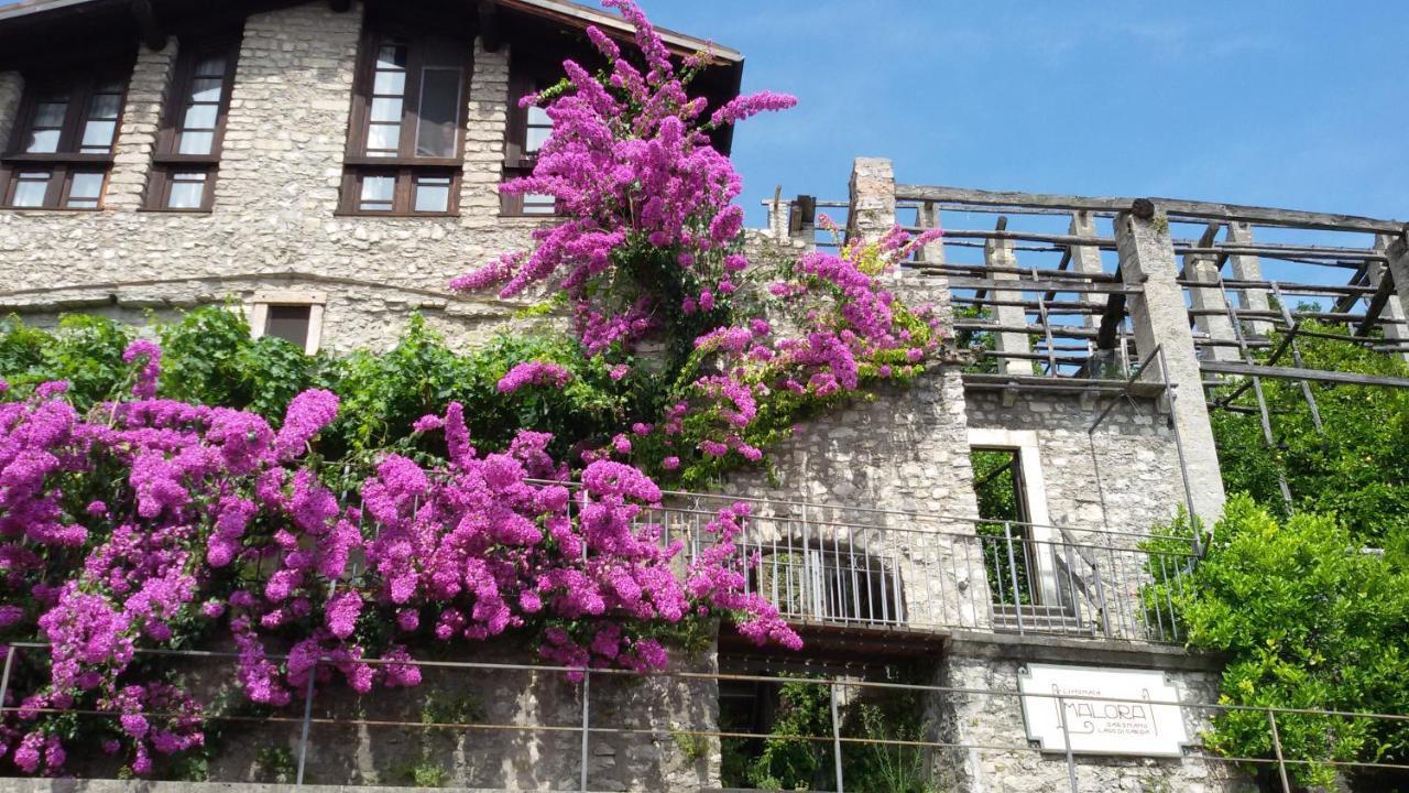 Hotel Garnì Bartabel Gargnano Exterior foto